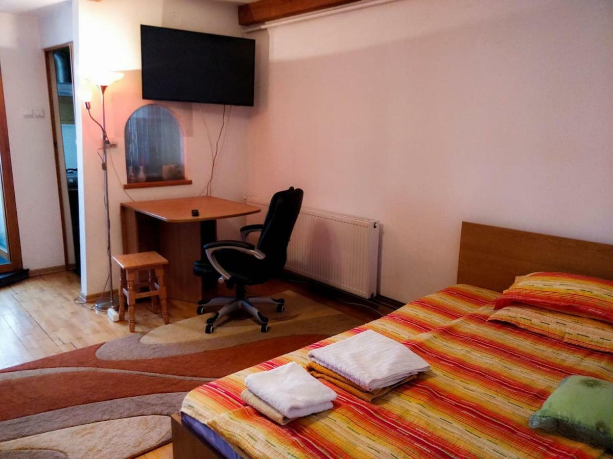 Studio Attic Apartment Brasov Bagian luar foto