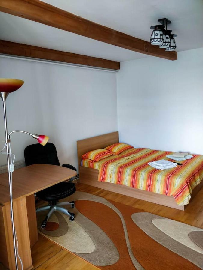 Studio Attic Apartment Brasov Bagian luar foto